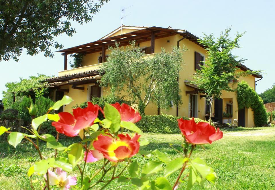 הוילה מסה מרטאנה La Casa Di Gelsomino מראה חיצוני תמונה